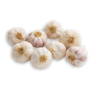 Ajo Violeta